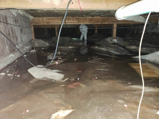 Trusted Water Damage Restoration in Cottonwood, AL | Fast, Reliable, and Ready to Assist You